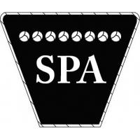 CORREAS - CORREA TRAPECIAL SPA-3350